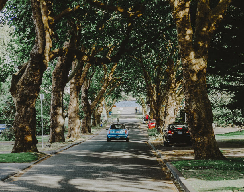 Tree-lined street view in Saanich East near properties managed by Clover Residential in Victoria, BC
