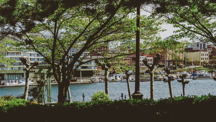 Scenic view of the Inner Harbour in Victoria, BC, showcasing waterfront architecture and greenery