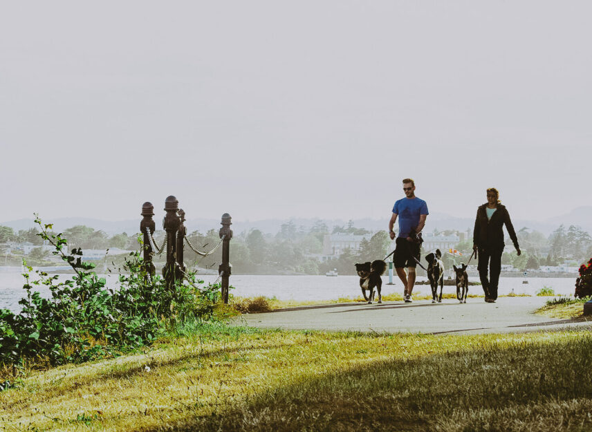 Couple walking dogs along a scenic waterfront trail surrounded by greenery in Victoria, BC