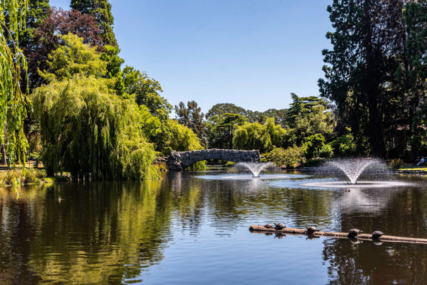 Serene view of Beacon Hill Park near 624 Cornwall Street Victoria BC listed by Folio Group at Clover Residential featuring lush greenery a stone bridge and fountains in the Fairfield neighborhood
