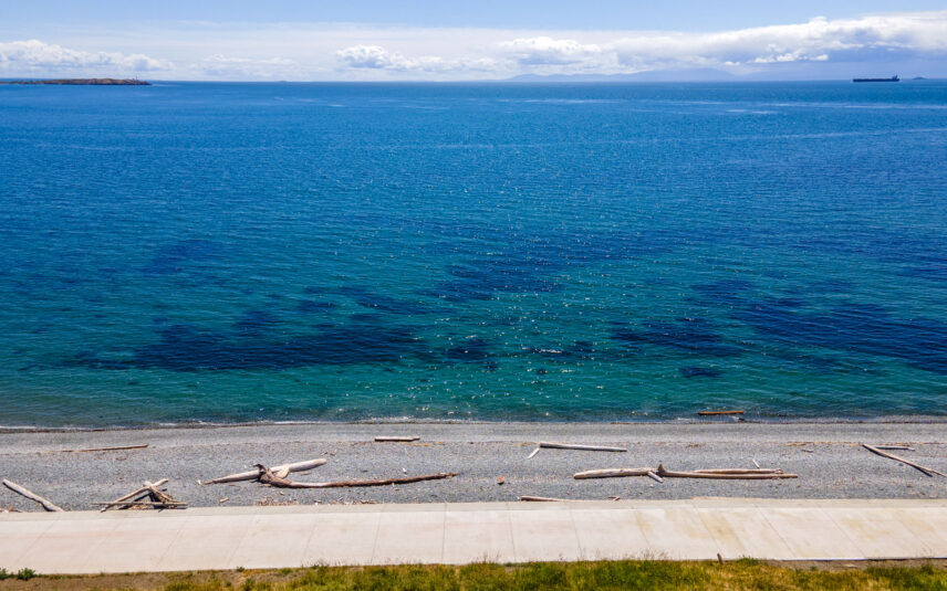 Scenic oceanfront view from a property near 624 Cornwall Street, Victoria, BC, showcasing a clear blue horizon and driftwood-lined beach, managed by Folio Group at Clover Residential in Victoria, BC
