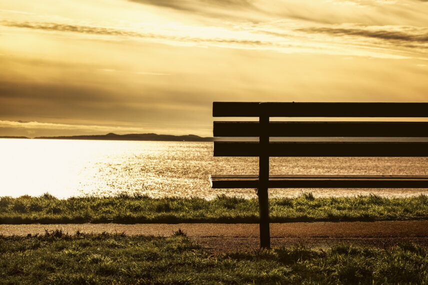 Park bench overlooking the ocean at sunset in the Fairfield neighborhood