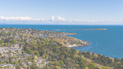 Aerial view of Victoria, BC, showcasing the coastline, residential neighborhoods, and natural greenery