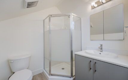 Modern bathroom featuring a corner glass shower, vanity with quartz countertop, mirrored cabinet, and bright lighting at 337 Robertson Street, managed by Clover Residential in Victoria, BC