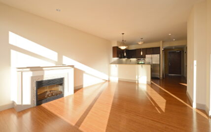 Bright open-concept living room and kitchen at 1035 Sutlej Street, Victoria, BC