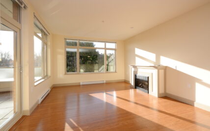 Sunlit living room with large windows and fireplace at 1035 Sutlej Street, Victoria, BC