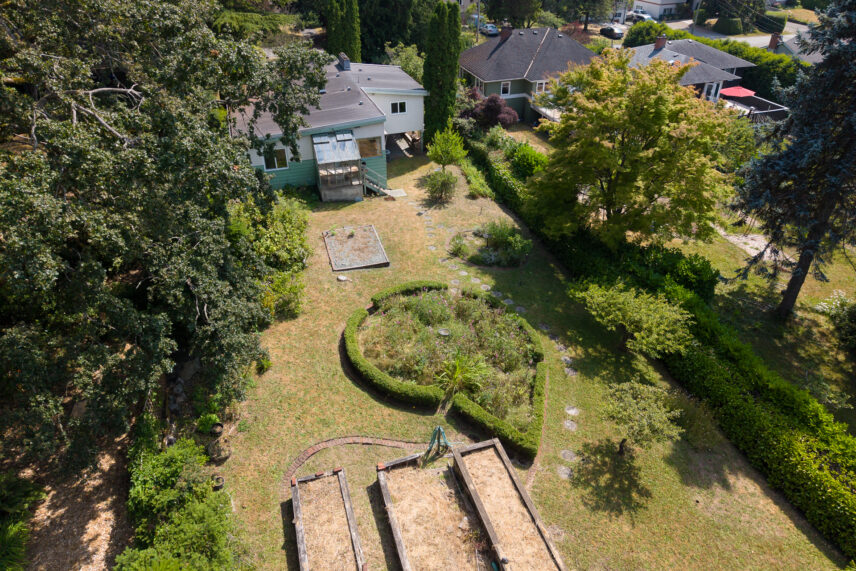 Aerial view of 950 Dunn Ave backyard showing mature apple trees, raised garden beds, and spacious 14,400 sq ft lot surrounded by established neighbourhood homes in Saanich.